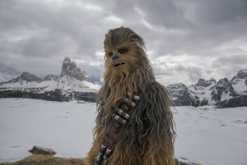 Chewie, we love you.